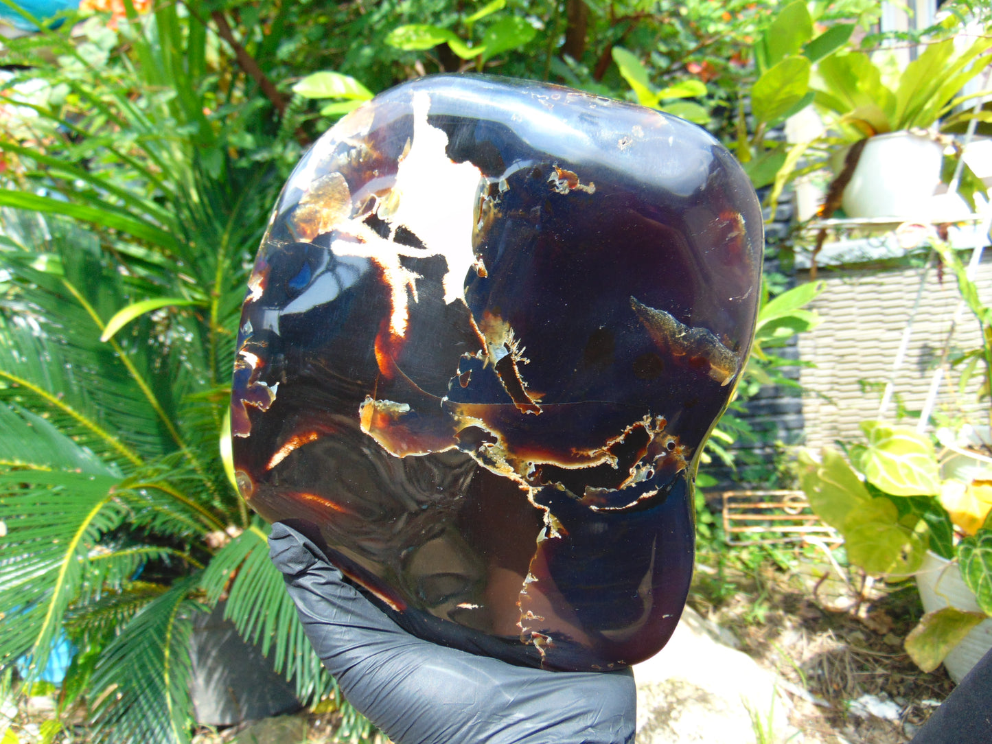 1560 gr Blue Polished 18x15x6 mm Indonesia Black Blue Amber for Healing 26ML176