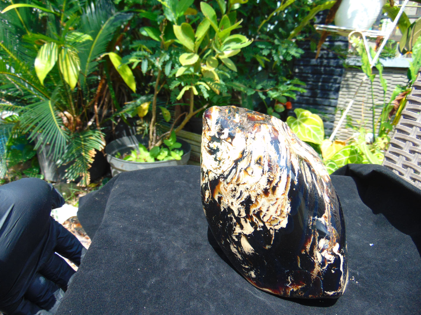 1990 gr full polished 22x15x12 cm Indonesian Amber for Healing 26AR223