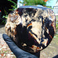 1990 gr full polished 22x15x12 cm Indonesian Amber for Healing 26AR223