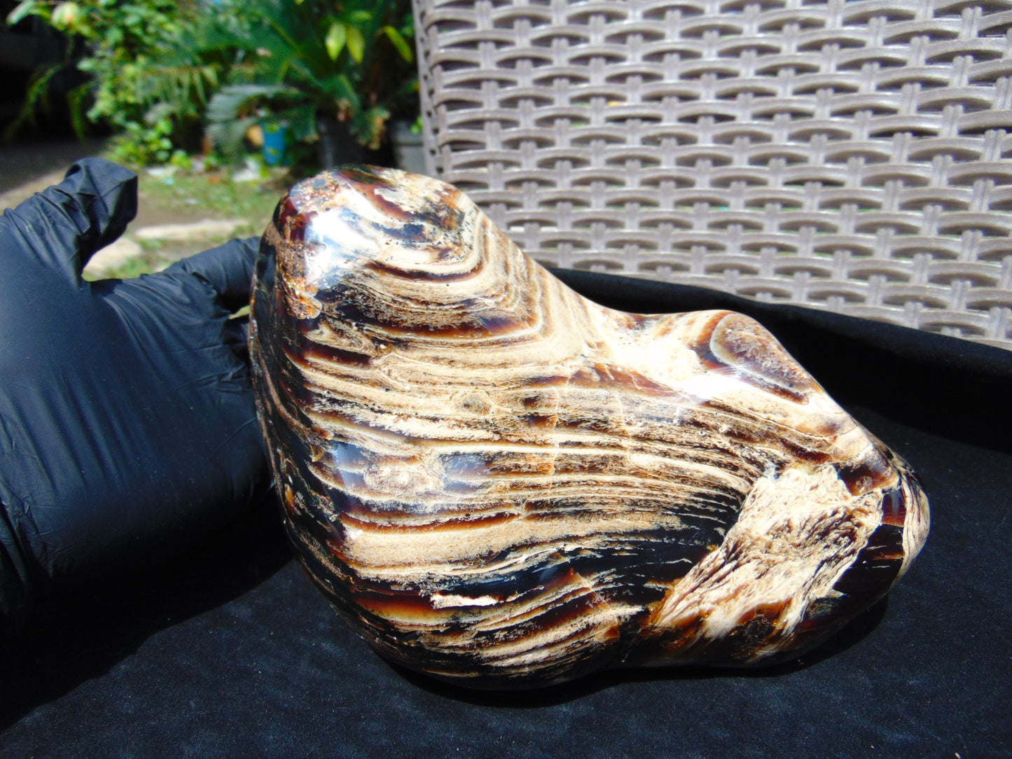 1480 gr Full Polished 22x10x4 mm Indonesia Amber for Healing 26ML176