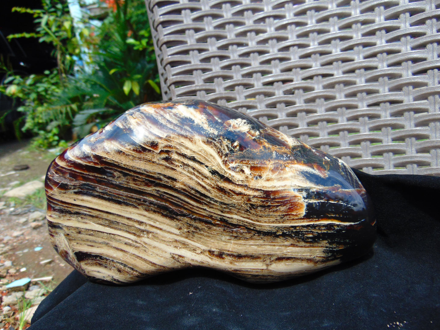 1480 gr Full Polished 22x10x4 mm Indonesia Amber for Healing 26ML176