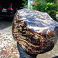 3805 gr full polished 22x15x12 cm Indonesian Zebra Amber for Healing 26AR222