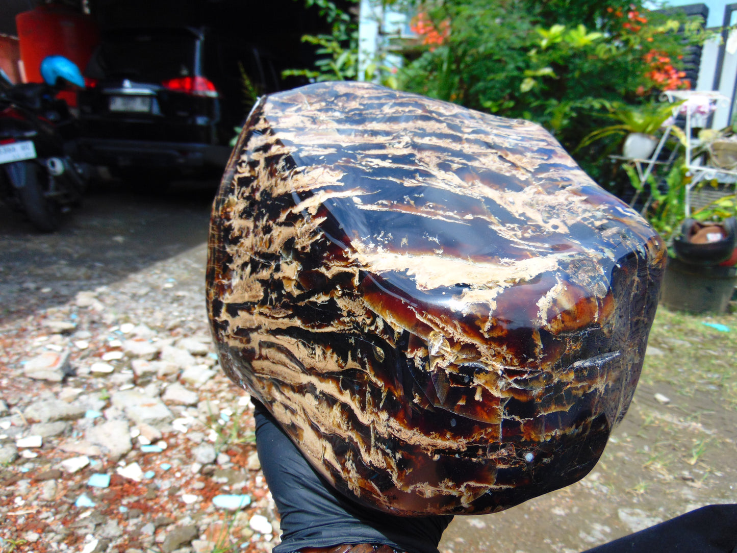 3805 gr full polished 22x15x12 cm Indonesian Zebra Amber for Healing 26AR222