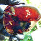 70 gram Slab polished Indonesian Sumatra Blue Amber for Healing 25Y117