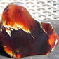 124 gram Slab  polished Indonesian Red Amber for Healing 25Y103