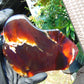 124 gram Slab  polished Indonesian Red Amber for Healing 25Y103