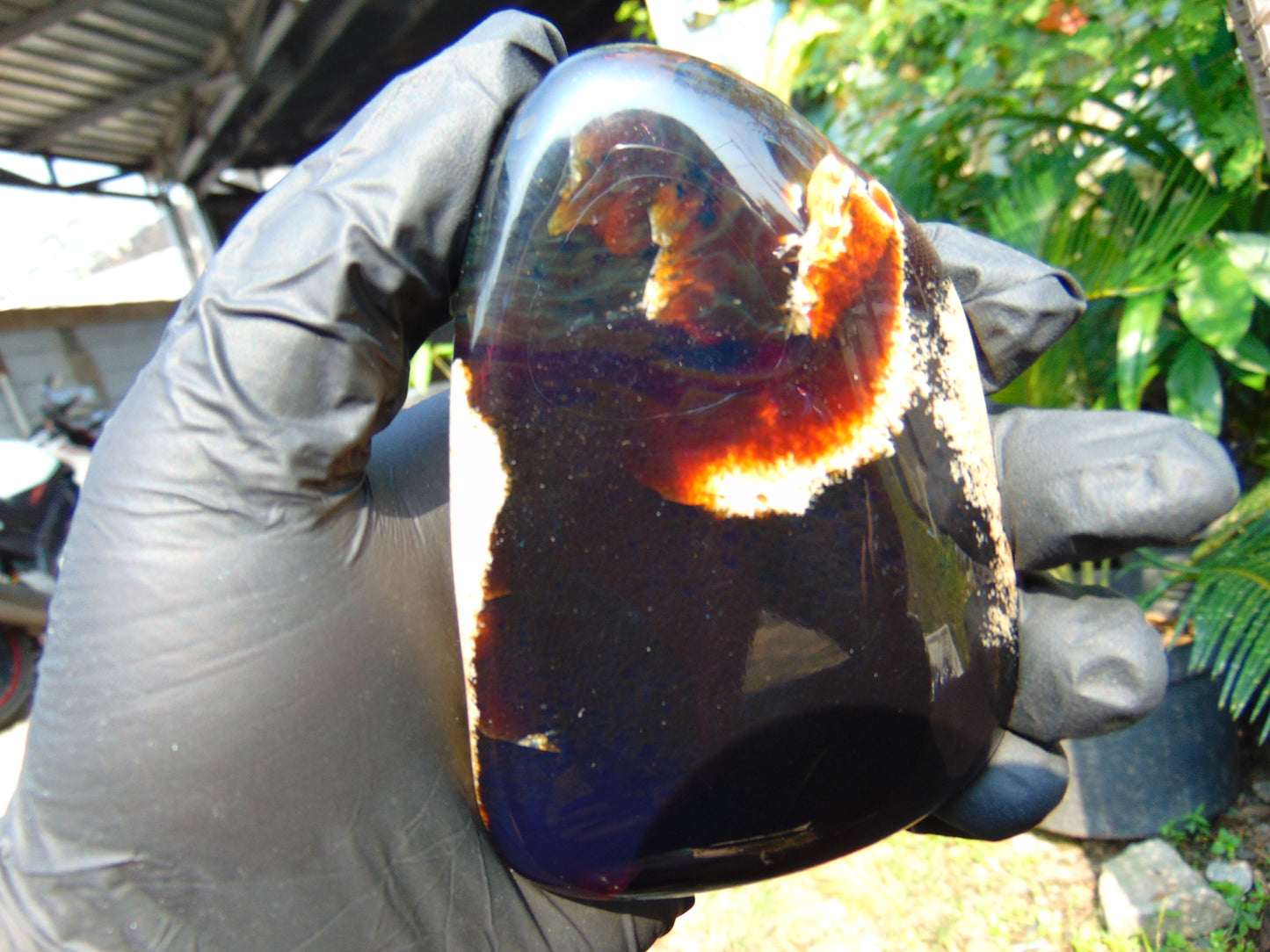 76 gram Slab Slim polished Indonesian Dark Amber for Healing 25N142