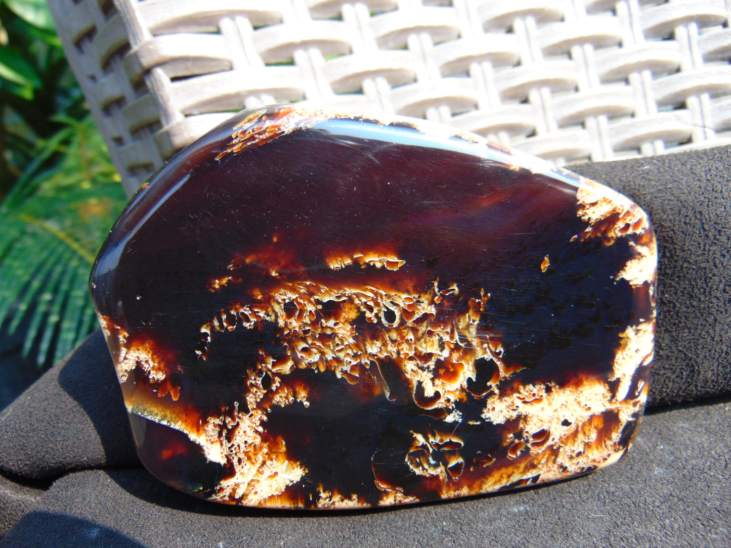 113 gram Slab  polished Indonesian Sumatra White Red Amber for Healing 25Y113