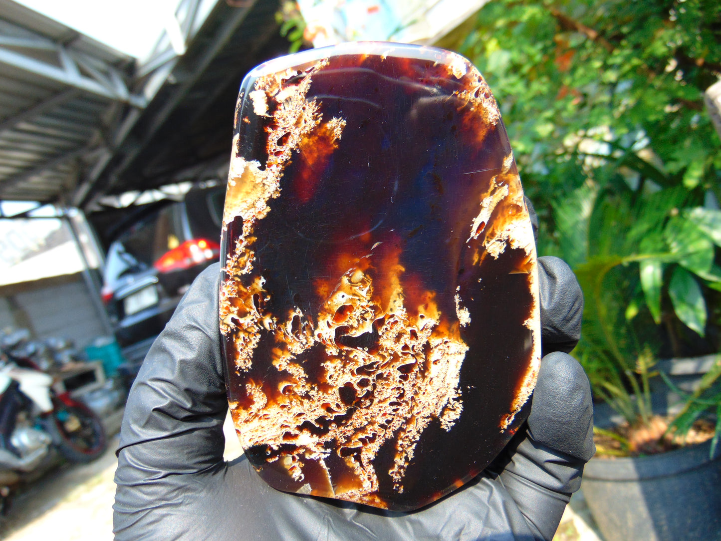 113 gram Slab  polished Indonesian Sumatra White Red Amber for Healing 25Y113