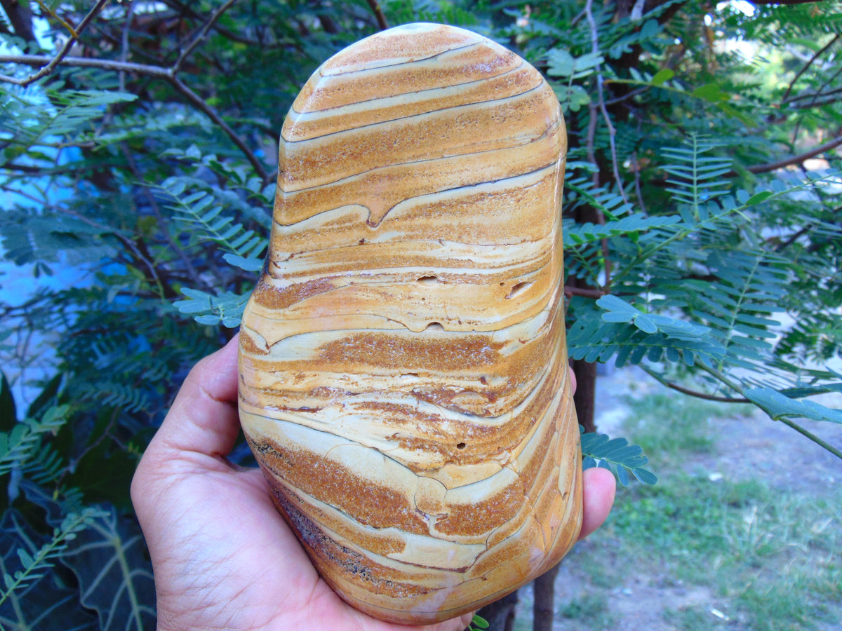 669 gr Full Polished Indonesian Egg Yolk Amber for Healing
