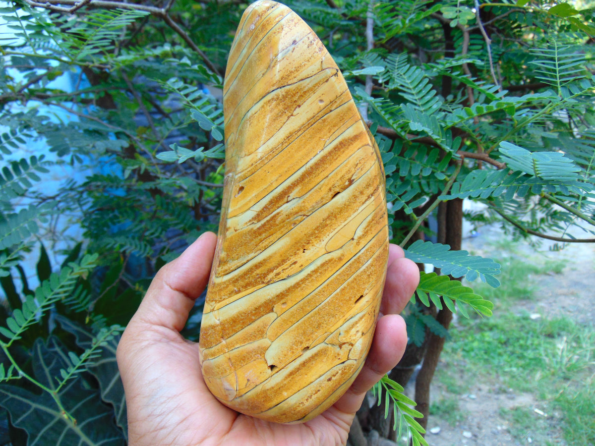 669 gr Full Polished Indonesian Egg Yolk Amber for Healing