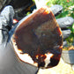 86 gram Slab  polished Indonesian Sumatra Black Amber for Healing 25Y109