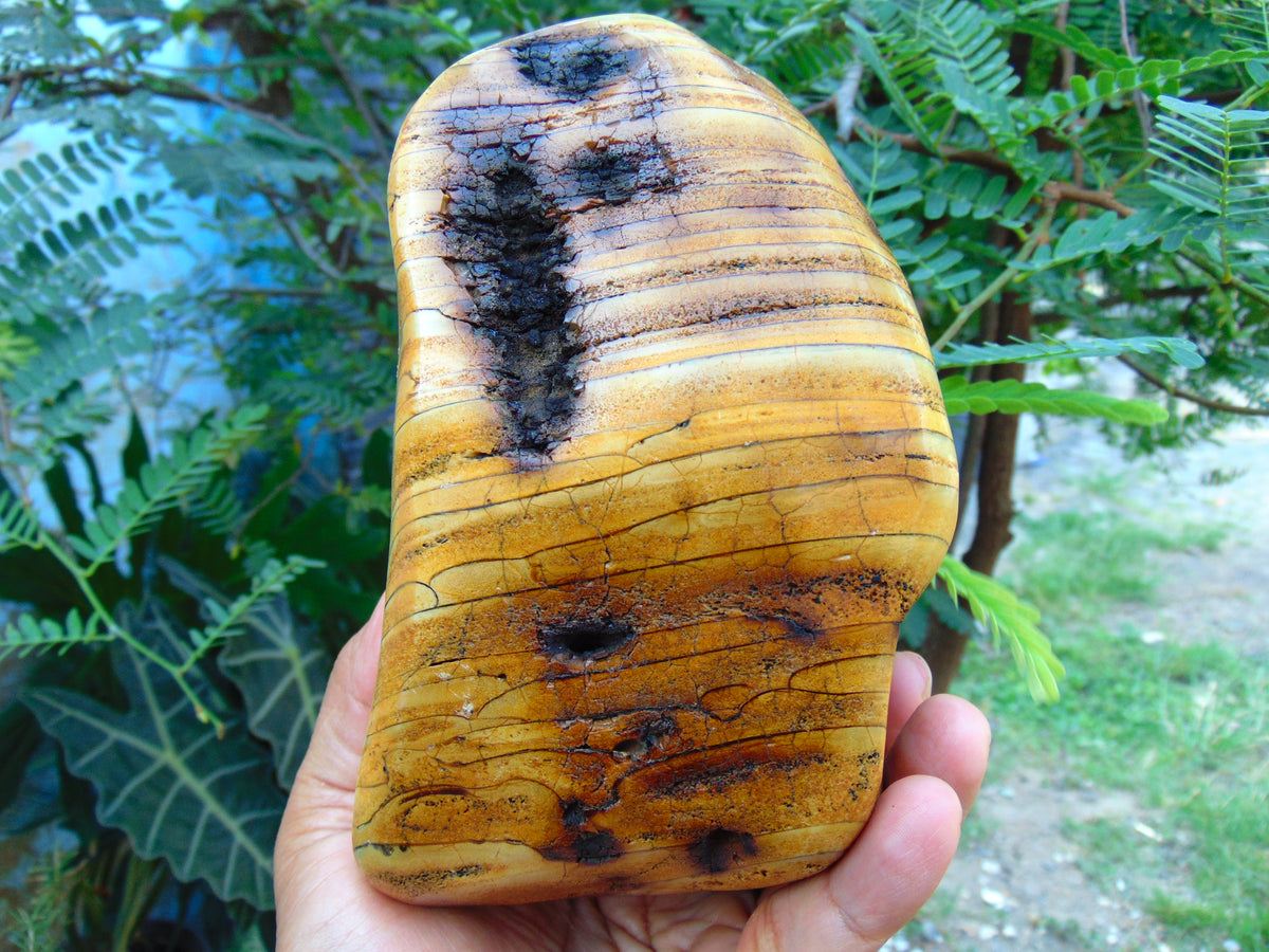 669 gr Full Polished Indonesian Egg Yolk Amber for Healing