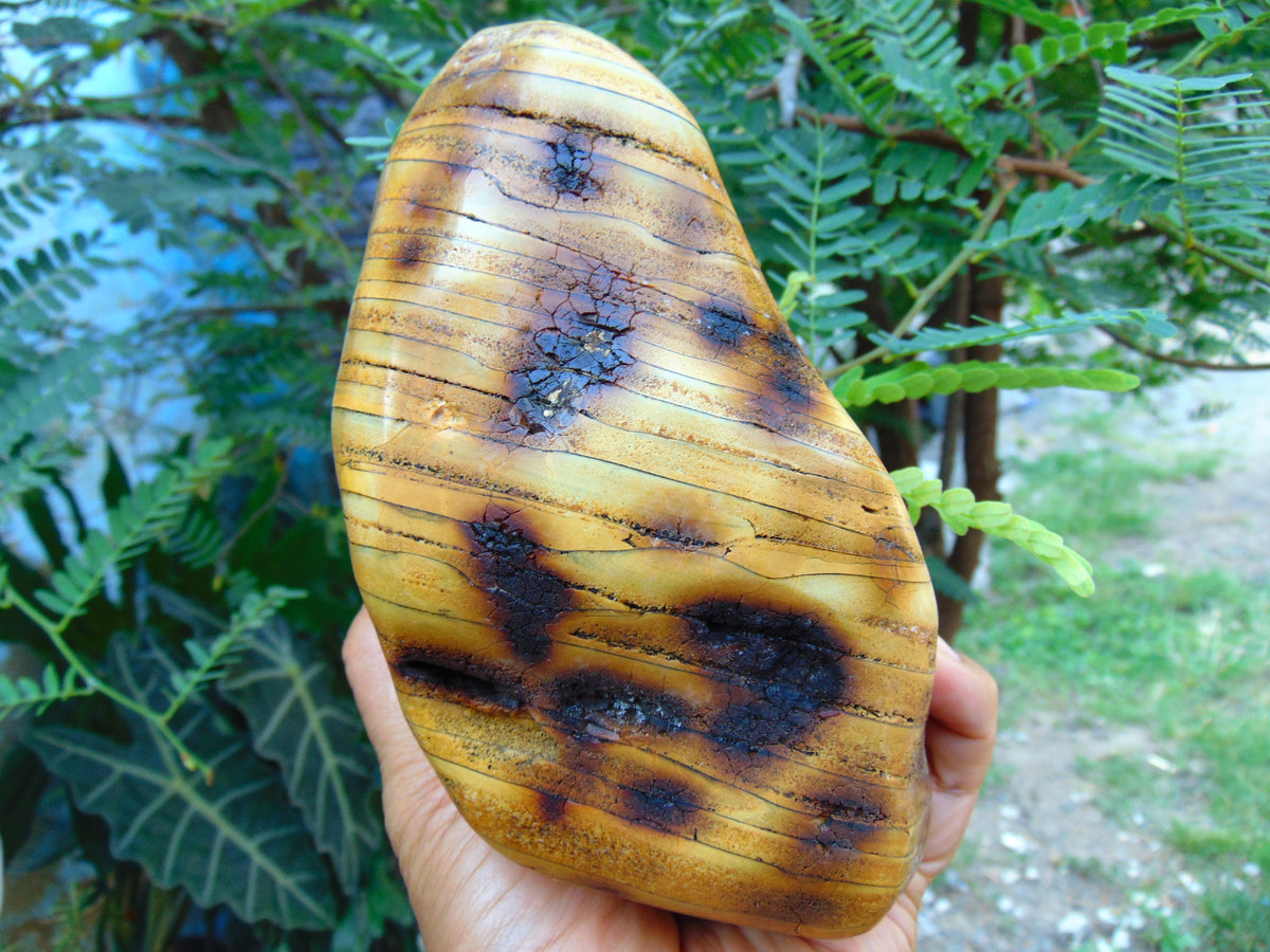 669 gr Full Polished Indonesian Egg Yolk Amber for Healing
