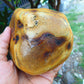 669 gr Full Polished Indonesian Egg Yolk Amber for Healing