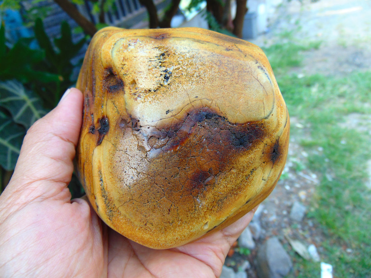 669 gr Full Polished Indonesian Egg Yolk Amber for Healing