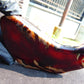 105 gram Slab  polished Indonesian Dark Red Amber for Healing 25N157
