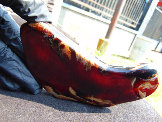 105 gram Slab  polished Indonesian Dark Red Amber for Healing 25N157