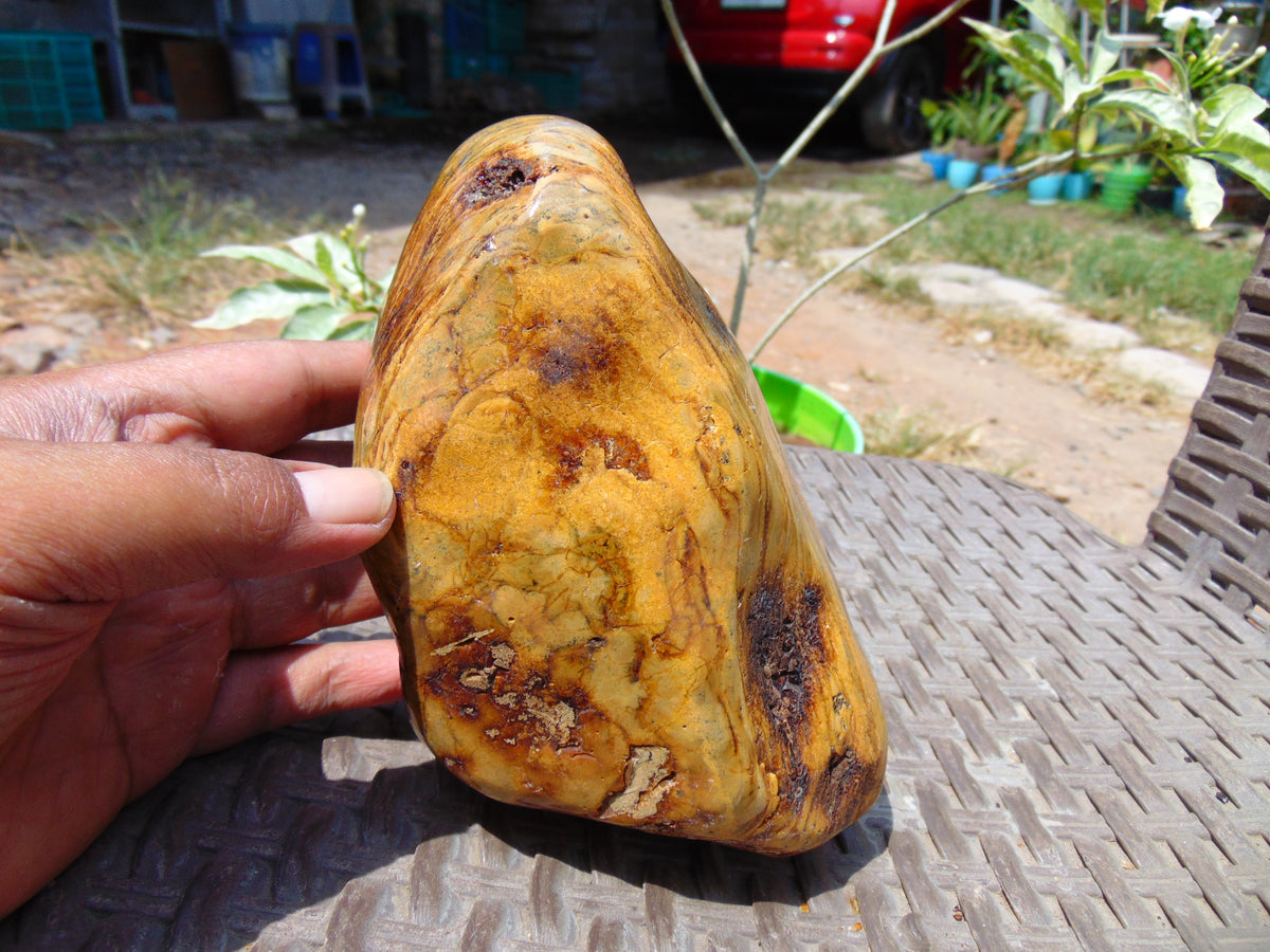 499 gram Polished Indonesia Yellow Aromatic Amber for Healing 26KX2