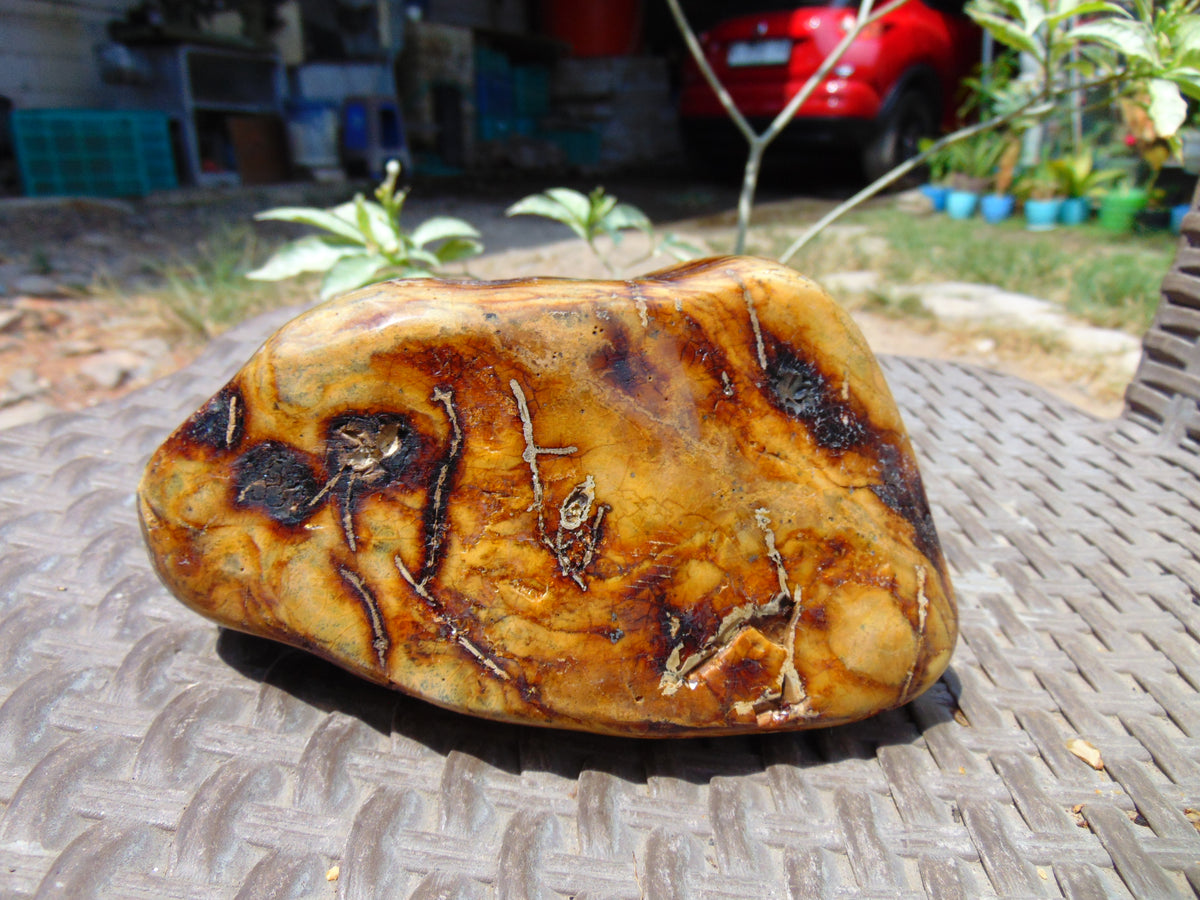 499 gram Polished Indonesia Yellow Aromatic Amber for Healing 26KX2