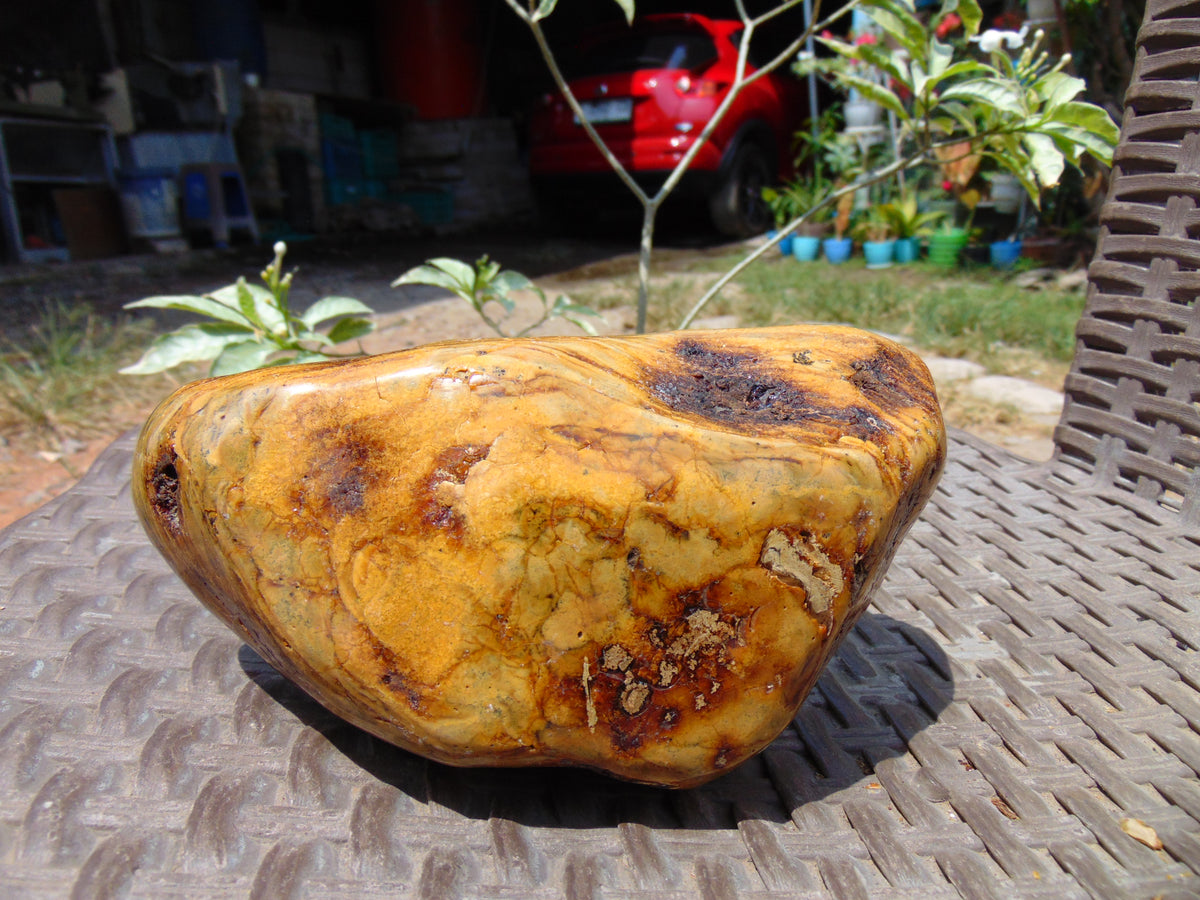 499 gram Polished Indonesia Yellow Aromatic Amber for Healing 26KX2