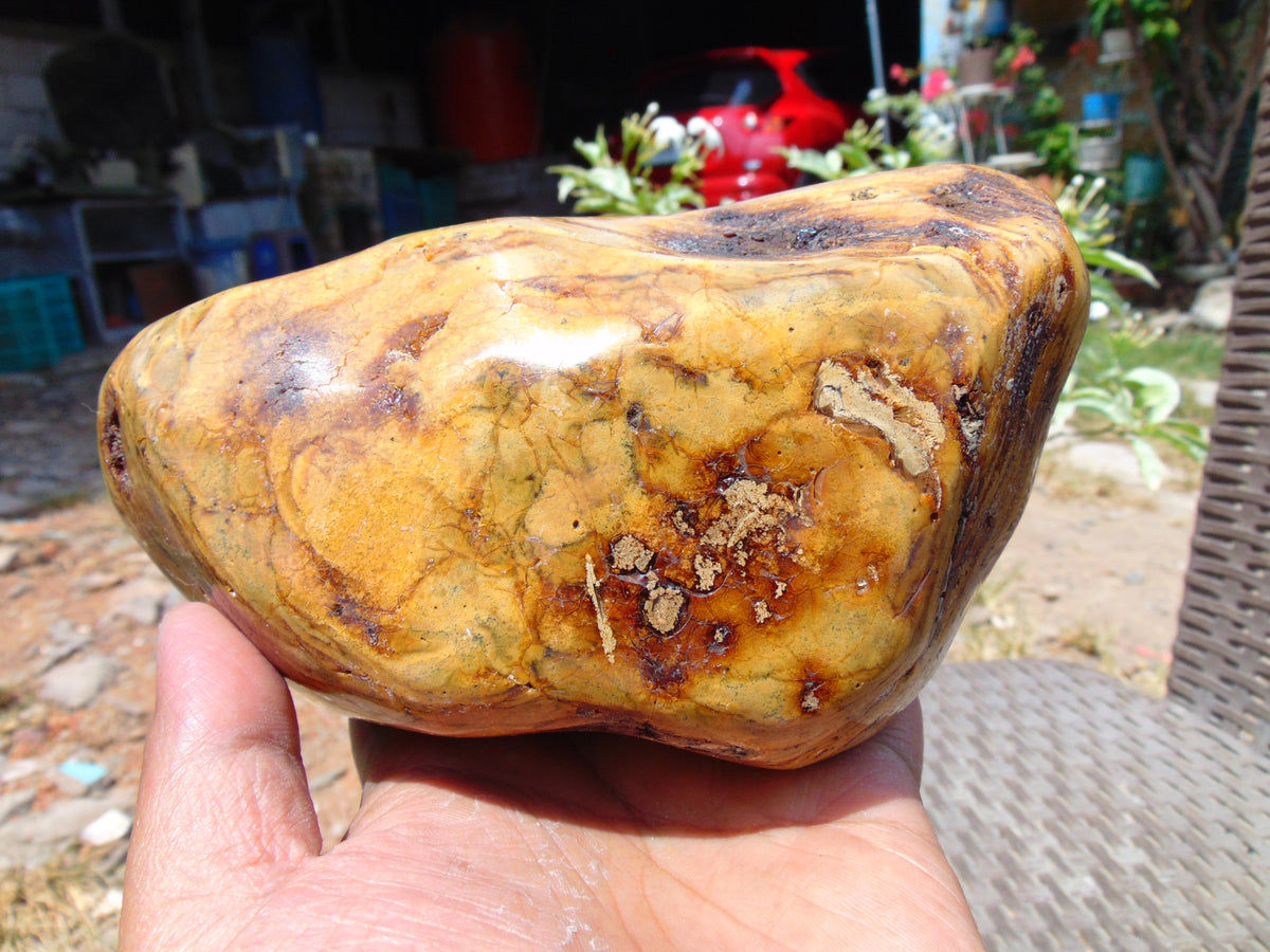 499 gram Polished Indonesia Yellow Aromatic Amber for Healing 26KX2