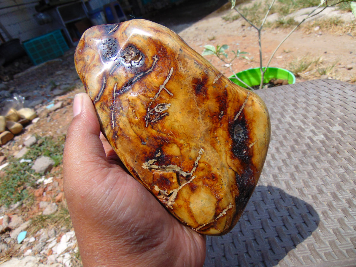 499 gram Polished Indonesia Yellow Aromatic Amber for Healing 26KX2