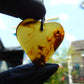 6 gr Heart Pendant Indonesian Blue Amber for Healing PB165