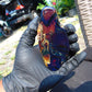 70 gram Slab polished Indonesian Blue Amber for Healing 25N147
