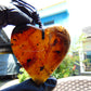 24 gr Heart Pendant Indonesian Blue Amber for Healing PDY735