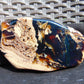 109 gram Slab Slim polished Indonesian White Red Amber for Healing 25A205