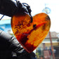 17 gr Heart Pendant Indonesian Blue Amber for Healing PDY713