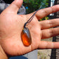 5 gram Pendant Indonesian AAAAA Green Amber for Healing 26Y225