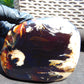 219 gram Slab  polished Indonesian Dark Red Amber for Healing 25N167
