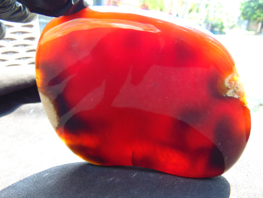 219 gram Slab  polished Indonesian Dark Red Amber for Healing 25N167