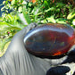 121 gram calligraphy carving ALLAH AKHBAR Indonesian Purple Red Amber for Healing CA5