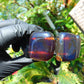 143 gr 7 Square Beads Bangle Indonesian Sumatra Red Blue Amber for Healing FR115