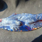 147 gr 160x70x43 mm The *Salamander* (mystical fire lizard) carving on *Indonesian Blue Amber*for Healing AJ190