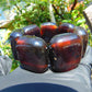 124 gr 7 Square Beads Bangle Indonesian Sumatra Dark Amber for Healing FR124