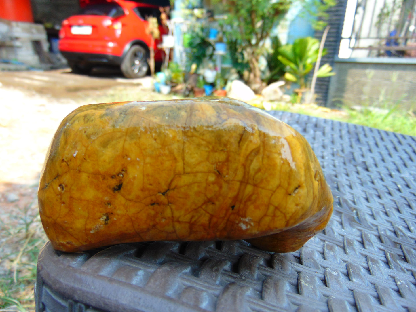 219 gram Polished Indonesia Yellow Aromatic Amber for Healing AY26M142