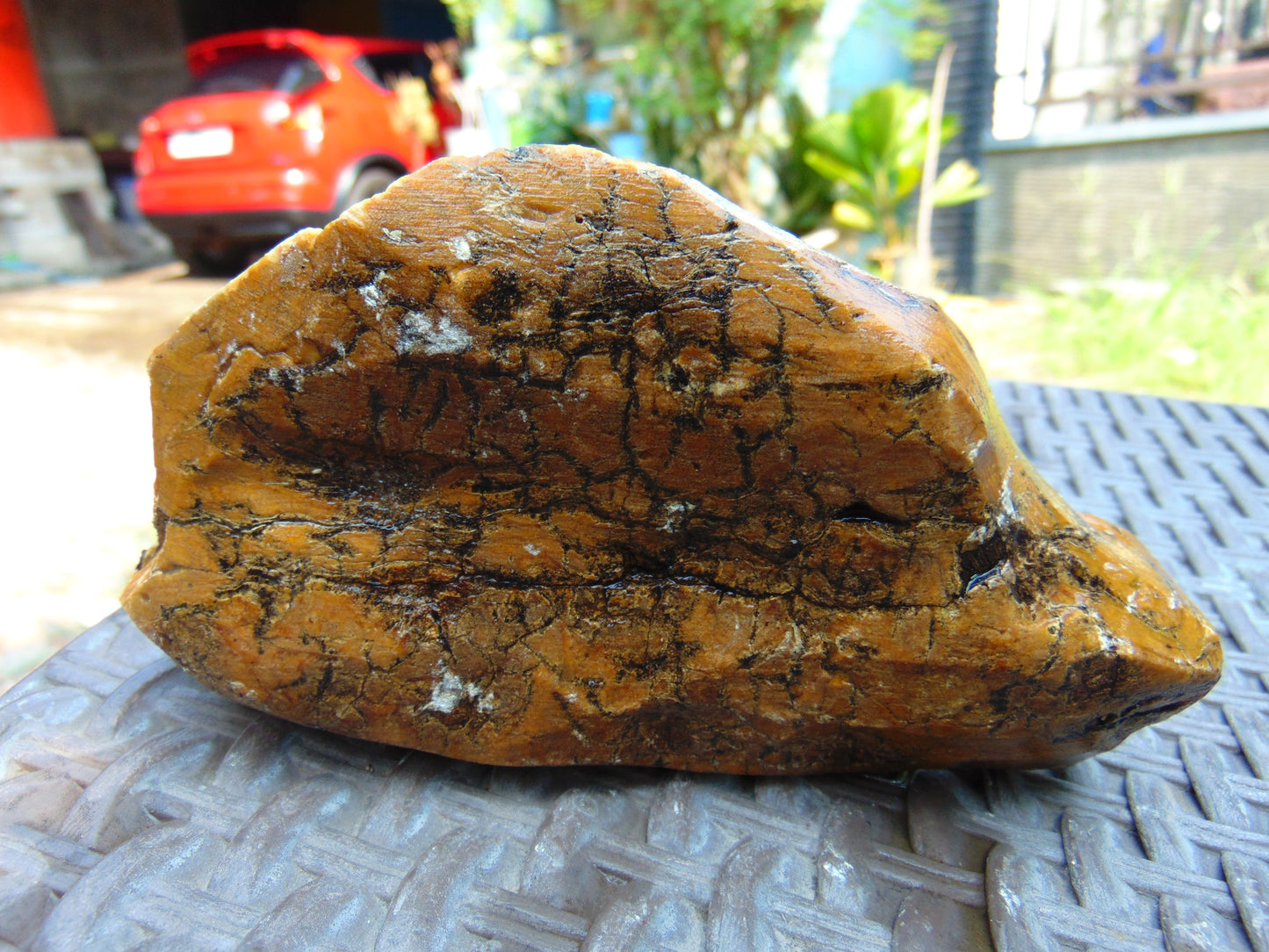 346 gram Polished Indonesia Yellow Aromatic Amber for Healing AY26M141