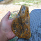 346 gram Polished Indonesia Yellow Aromatic Amber for Healing AY26M141
