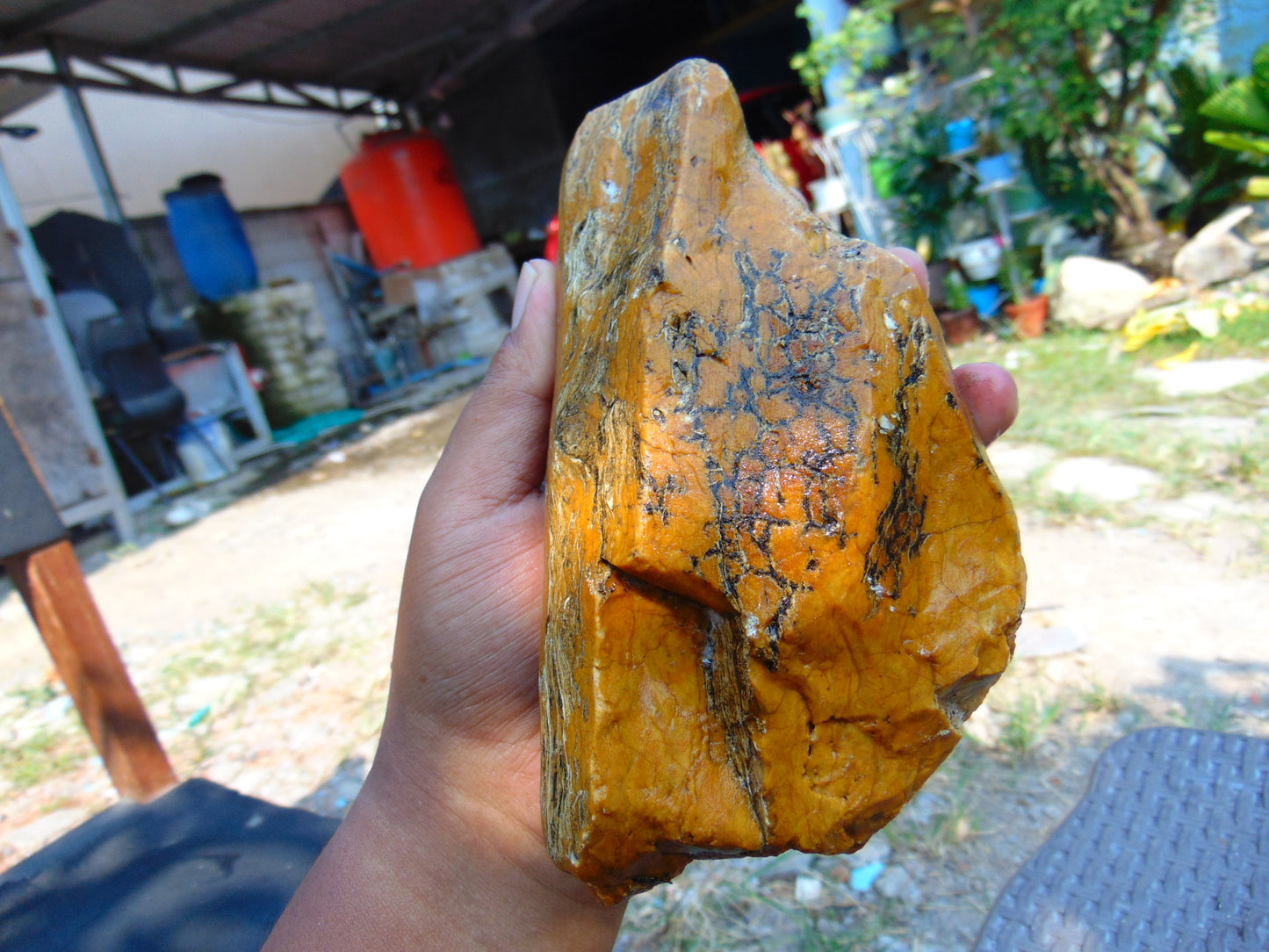 346 gram Polished Indonesia Yellow Aromatic Amber for Healing AY26M141