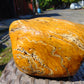 460 gram Polished Indonesia Yellow Fragrance Amber for Healing AYAR05
