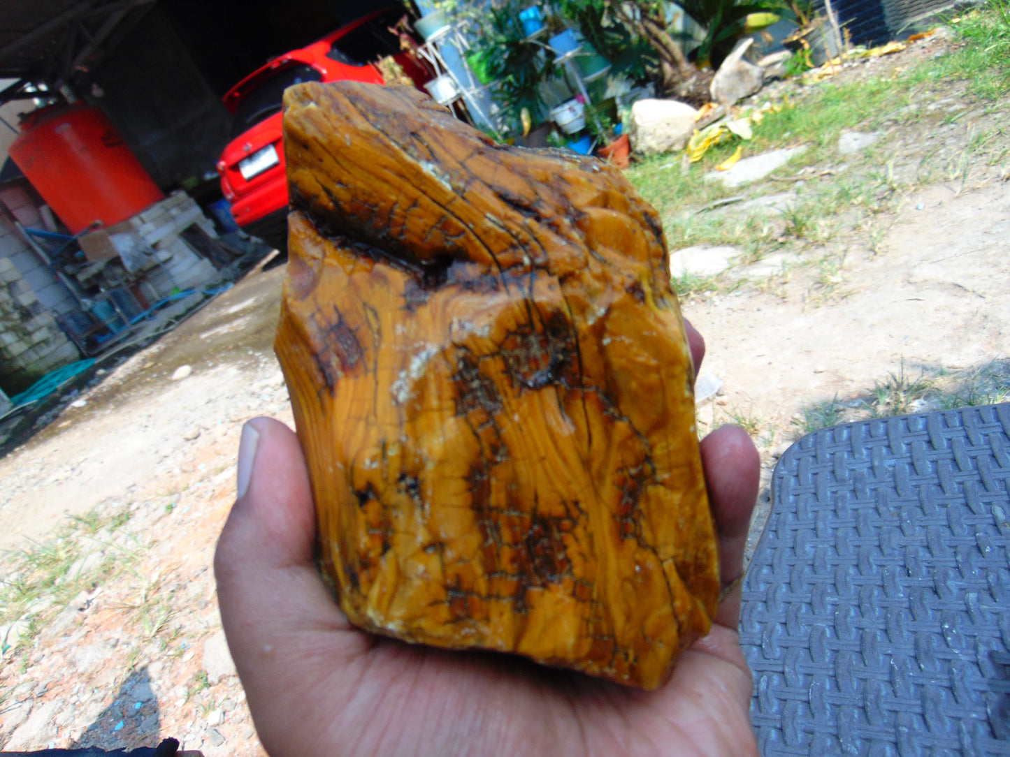324 gram Polished Indonesia Yellow Aromatic Amber for Healing AY26M137