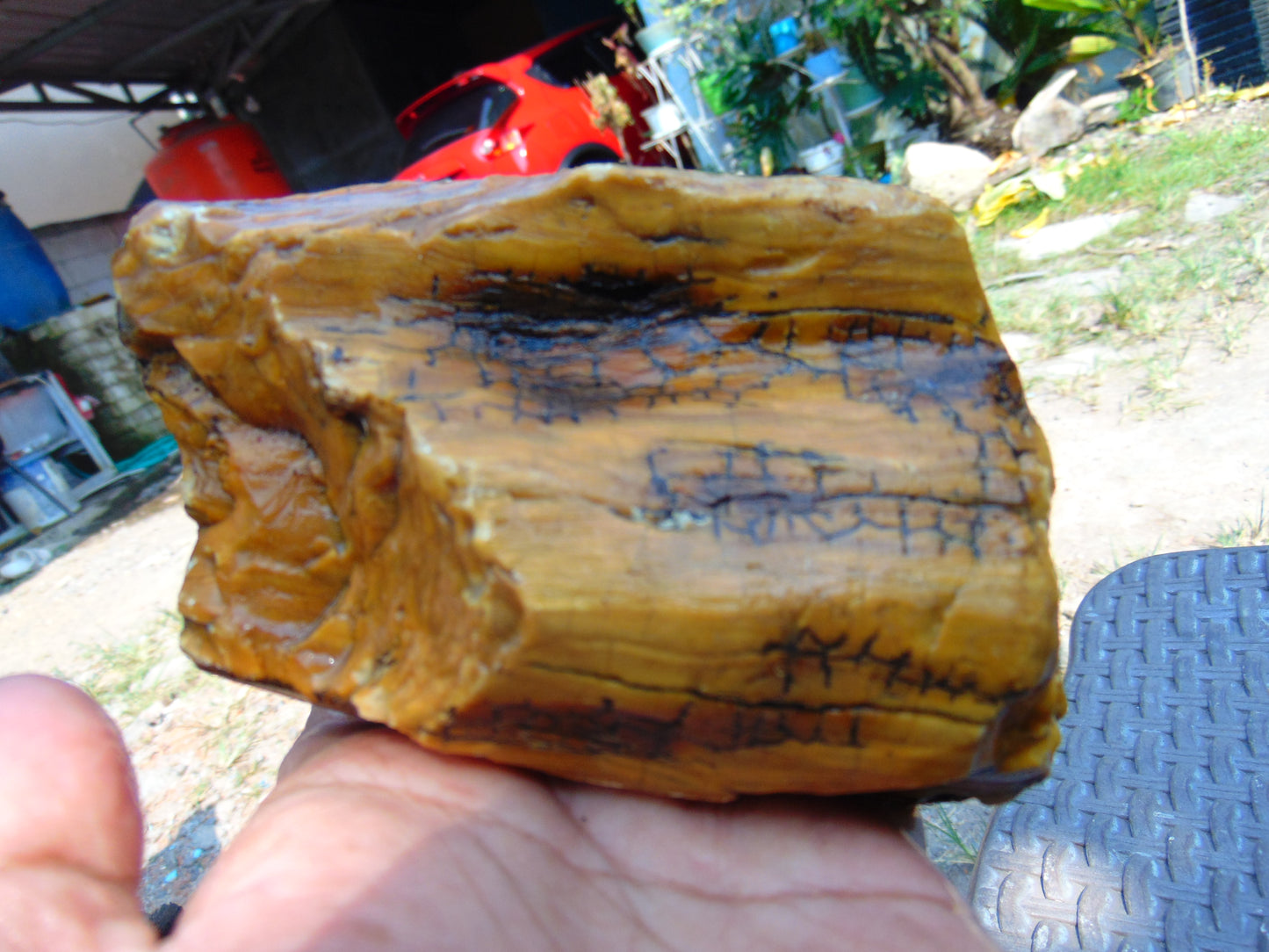 324 gram Polished Indonesia Yellow Aromatic Amber for Healing AY26M137