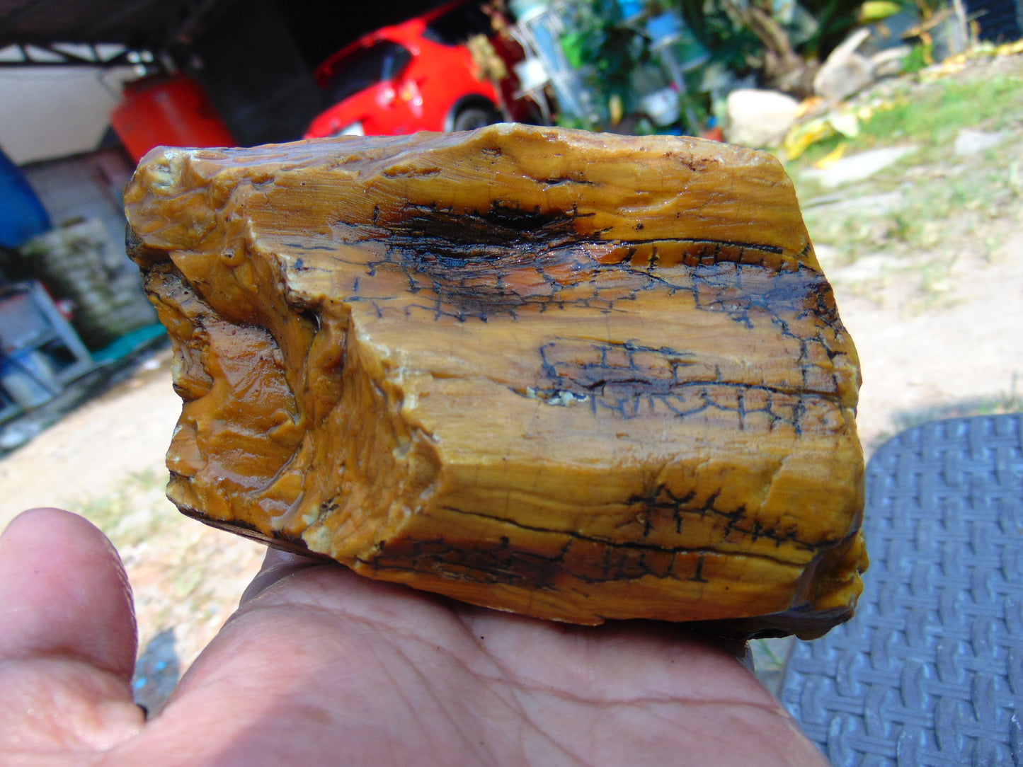 324 gram Polished Indonesia Yellow Aromatic Amber for Healing AY26M137