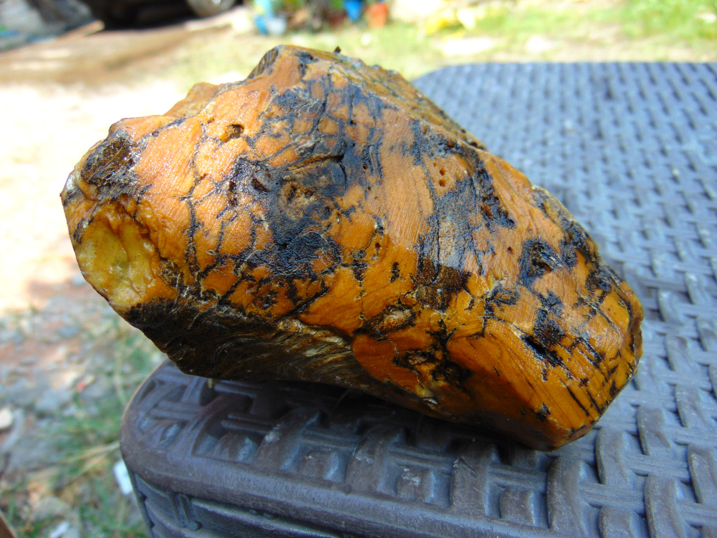 444 gram Polished Indonesia Yellow Aromatic Amber for Healing AY26M139