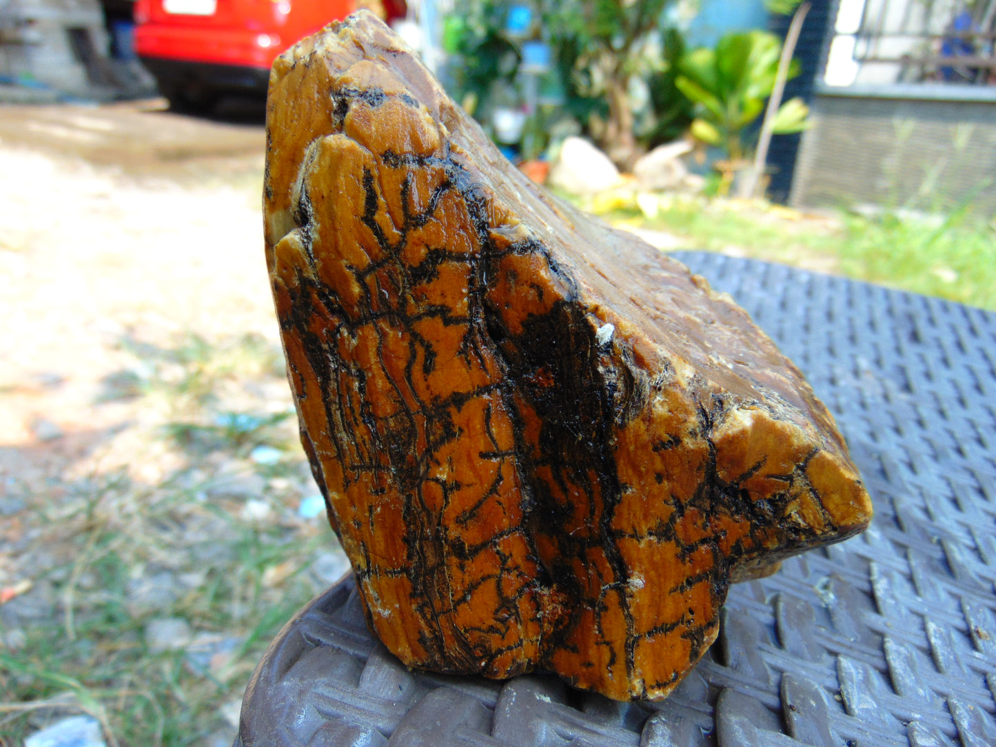 300 gram Polished Indonesia Yellow Aromatic Amber for Healing AY26M138