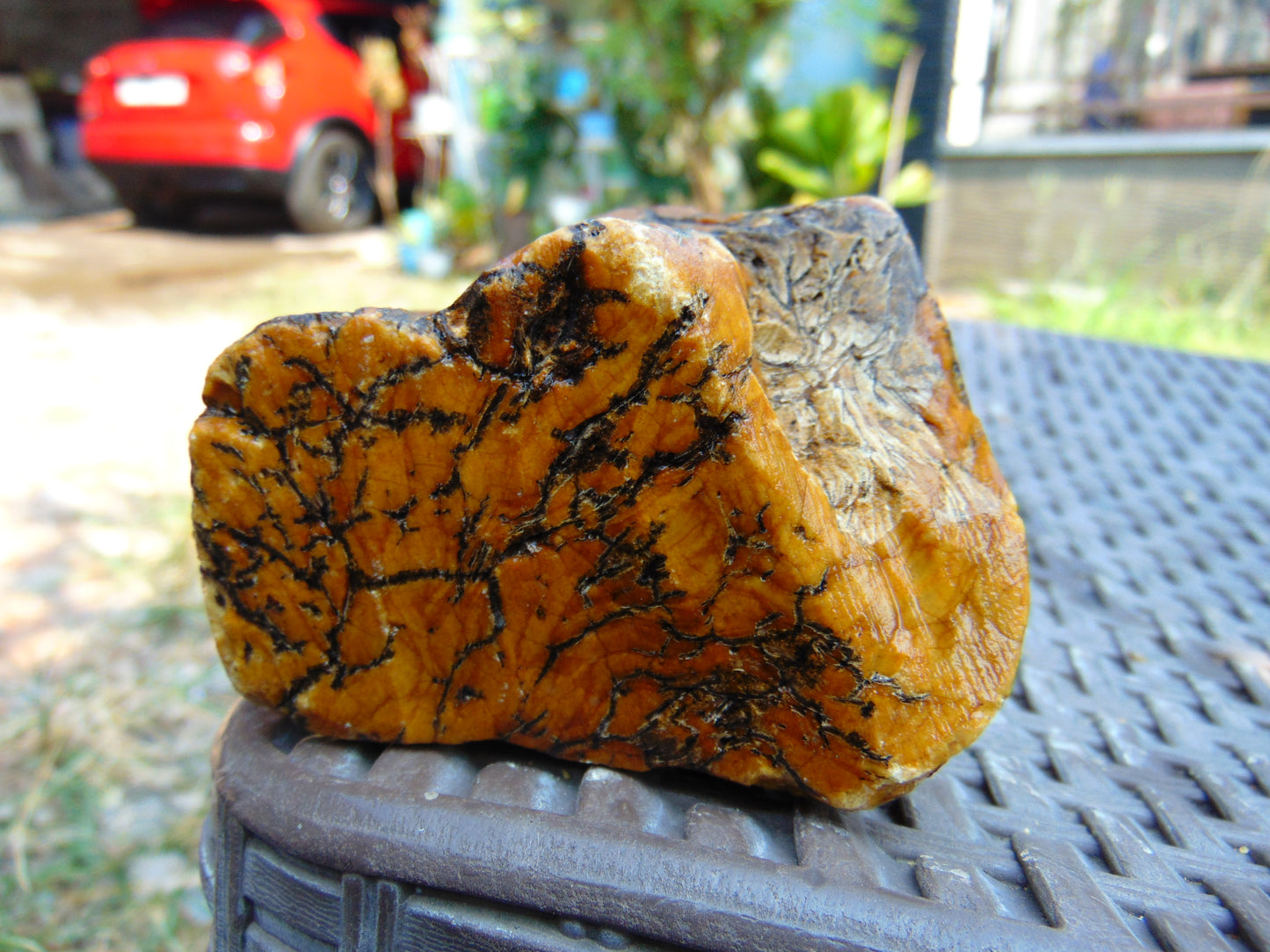 300 gram Polished Indonesia Yellow Aromatic Amber for Healing AY26M138